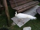 20151210_154442