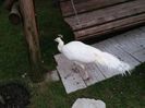 20151210_154440