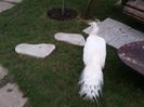 20151210_154435