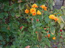 DSCN3899