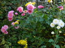 DSCN3901