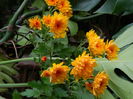 DSCN4180