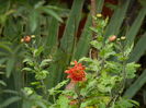 DSCN4207
