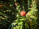 DSCN4279