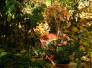 DSCN4354