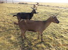 Soare de decembrie-73fh
