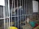 20151205_102532