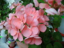 105045628_KRQMGZS3