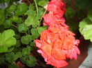 105045642_IPKRKET3