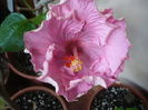 P1240892