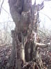 DSC01443