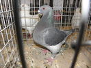PC050210