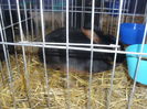 SDC10350