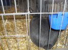 SDC10369