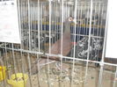 SDC10391