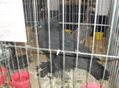 SDC10393