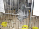 SDC10396