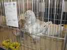 SDC10397
