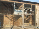 poze bogdan 082
