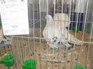 SDC10450