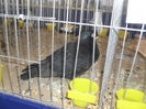 SDC10472