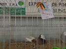 DSC02191