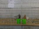 DSC02194