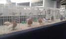 20151212_123453