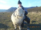 Picture 1582