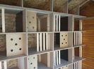 20151107_150636 (2)