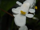 DSCN5498