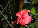 DSCN5506