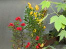 DSCN5530