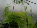 DSCN5564