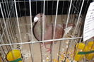 DSC01536