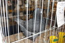 DSC01545