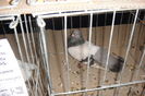 DSC01551