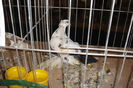 DSC01567