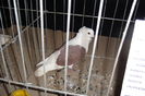 DSC01568