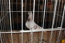 DSC01576