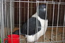 DSC01593