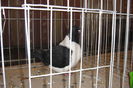 DSC01594