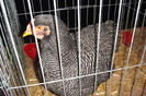 DSC01600