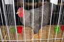 DSC01601