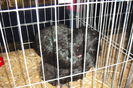 DSC01602