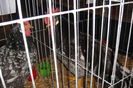 DSC01614