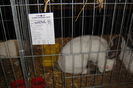 DSC01640
