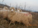 Picture 024