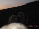 Picture 037