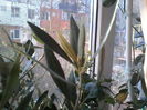 IMG_20151212_090142
